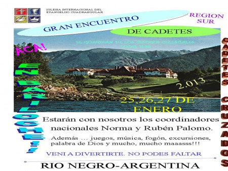 Campamento Regional de cadetes  region  sur 