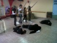 /album/confraternidad-fernandes-oro-/img00461-20120722-1606-jpg/